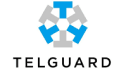 Logo of Telguard featuring a geometric design with blue and gray shapes forming a star-like pattern, symbolizing protection for your home, and the company's name "TELGUARD" in black text below the design.